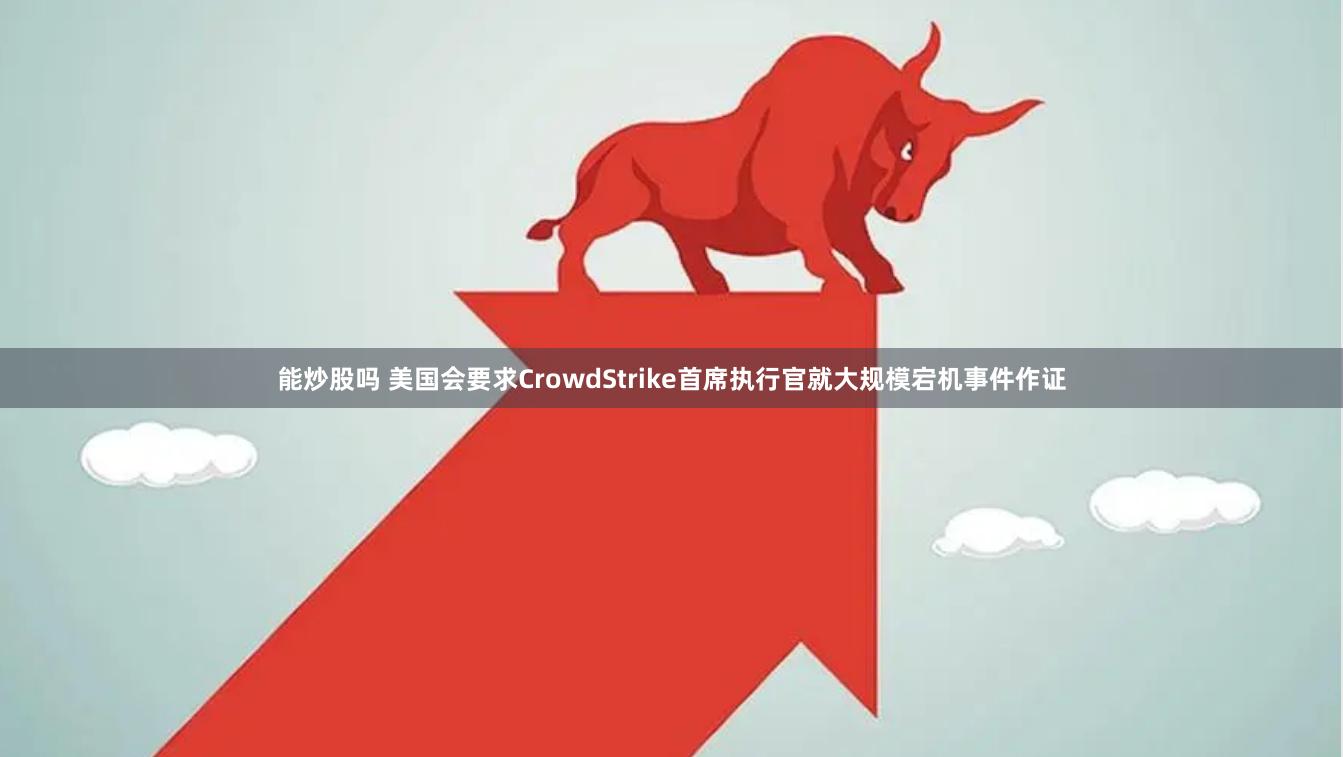 能炒股吗 美国会要求CrowdStrike首席执行官就大规模宕机事件作证