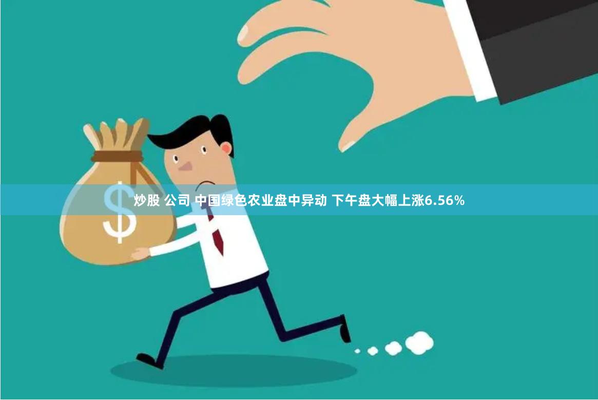 炒股 公司 中国绿色农业盘中异动 下午盘大幅上涨6.56%